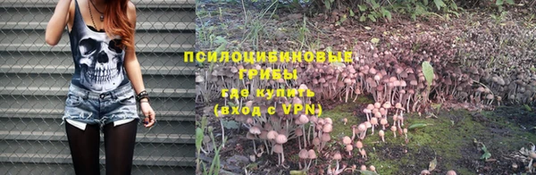 MDMA Premium VHQ Магадан