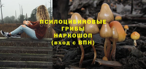 амф Майский