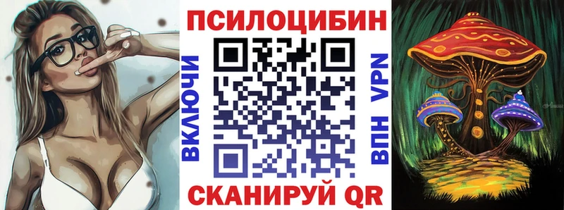 купить   Костерёво  Галлюциногенные грибы Cubensis 